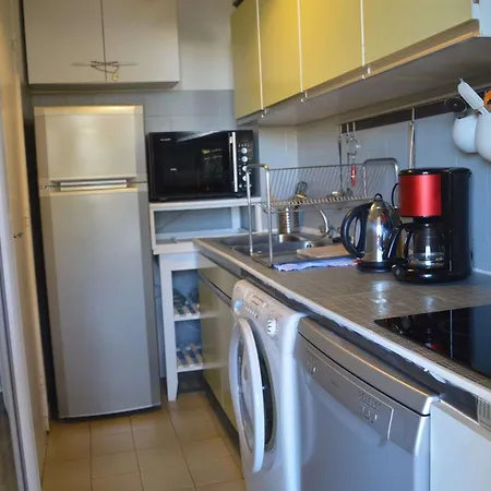 Mezzanine 4 Couchages A Avec Terrasse, Ascenseur, Lave-vaisselle Et Lave-linge - Fr-1-226b-27 דירה קבלייר-סור-מר